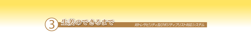 生姜のできるまで